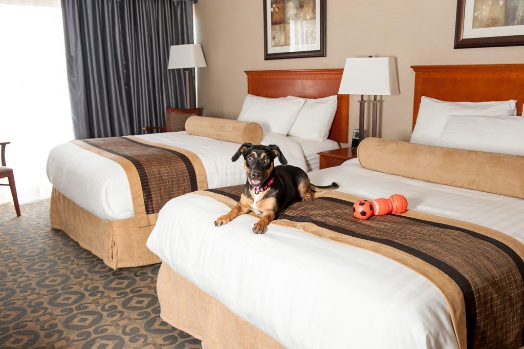 Best Western Brantford Hotel And Conference Centre Экстерьер фото